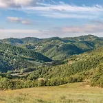 Casellina